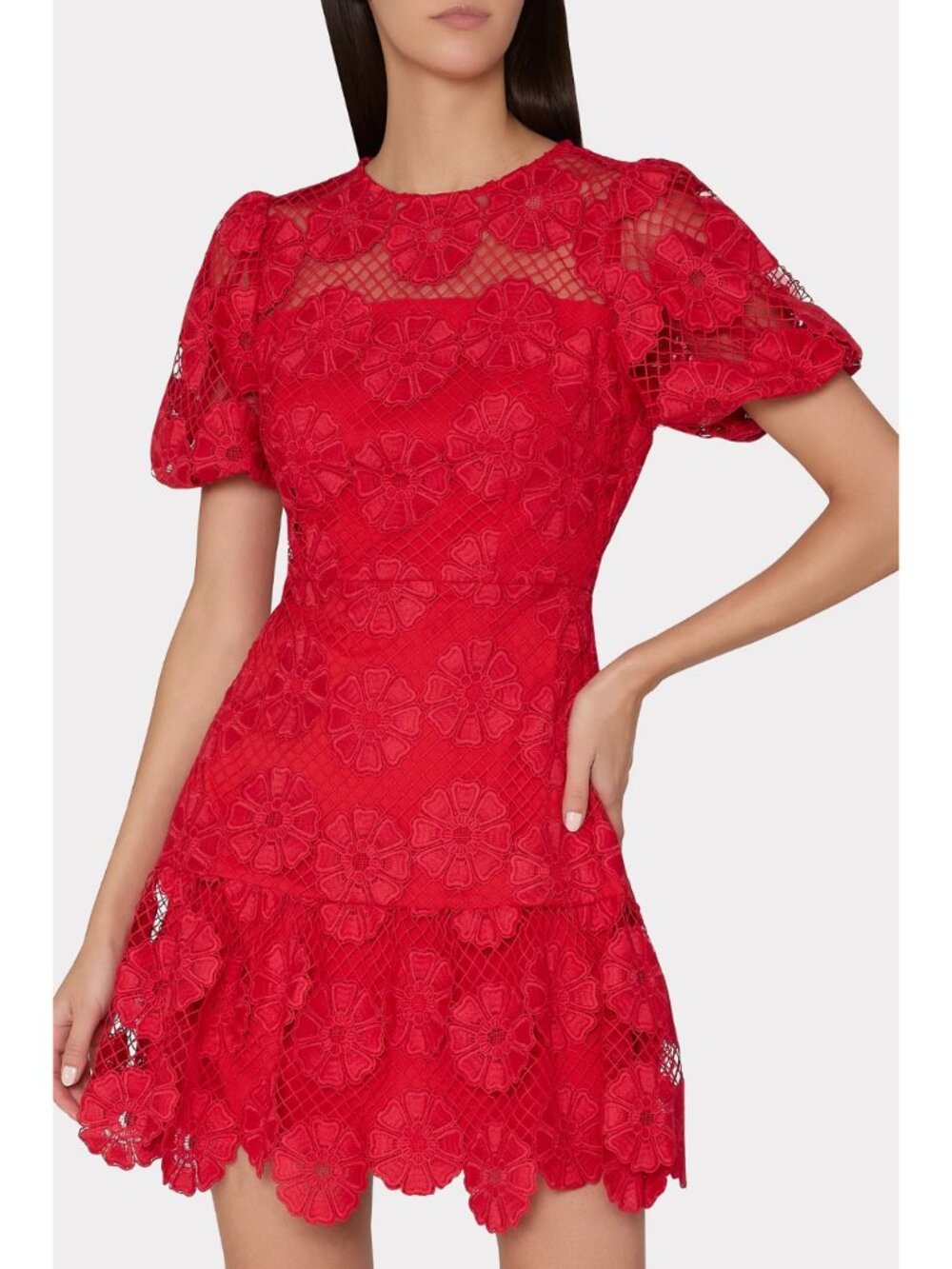Milly Yasmin Daisy Lace Red Mini Dress Size 4 MSRP $425